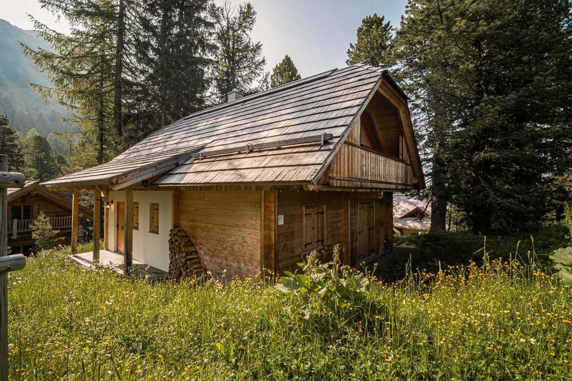 Alpin-Huetten Auf Der Turracherhoehe Haus Murmeltier By S4Y ทูร์ราคาฮัว ภายนอก รูปภาพ
