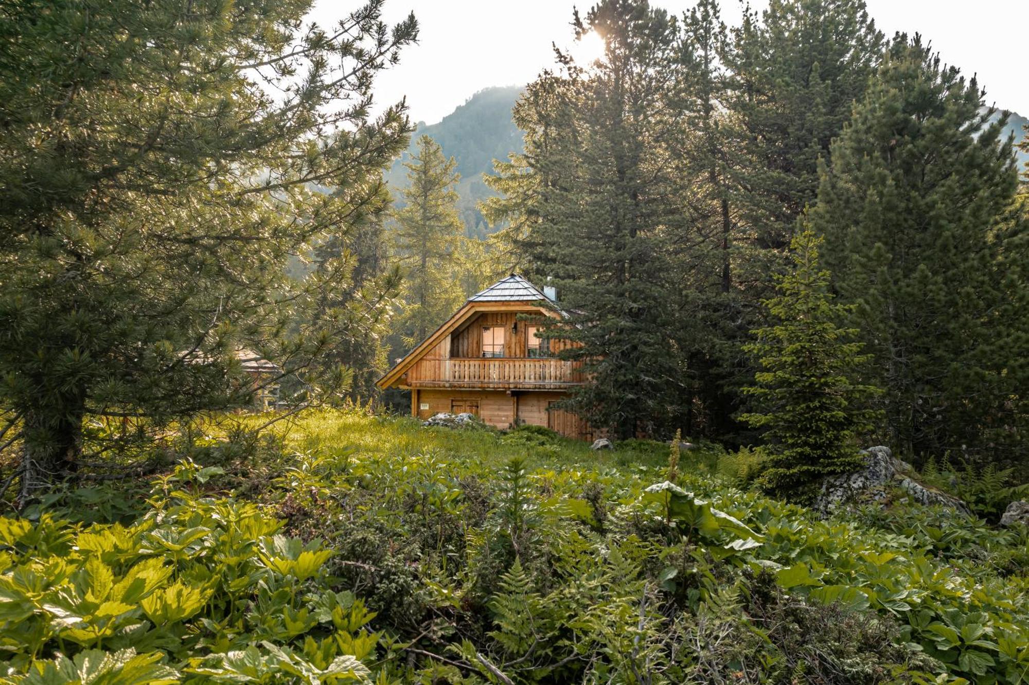 Alpin-Huetten Auf Der Turracherhoehe Haus Murmeltier By S4Y ทูร์ราคาฮัว ภายนอก รูปภาพ