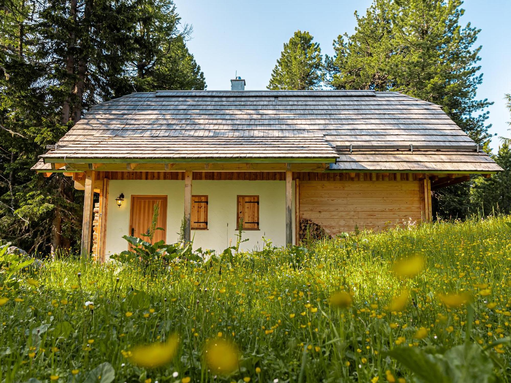 Alpin-Huetten Auf Der Turracherhoehe Haus Murmeltier By S4Y ทูร์ราคาฮัว ภายนอก รูปภาพ